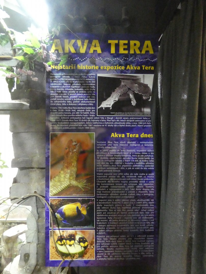 History of Akva-Tera Plzen
