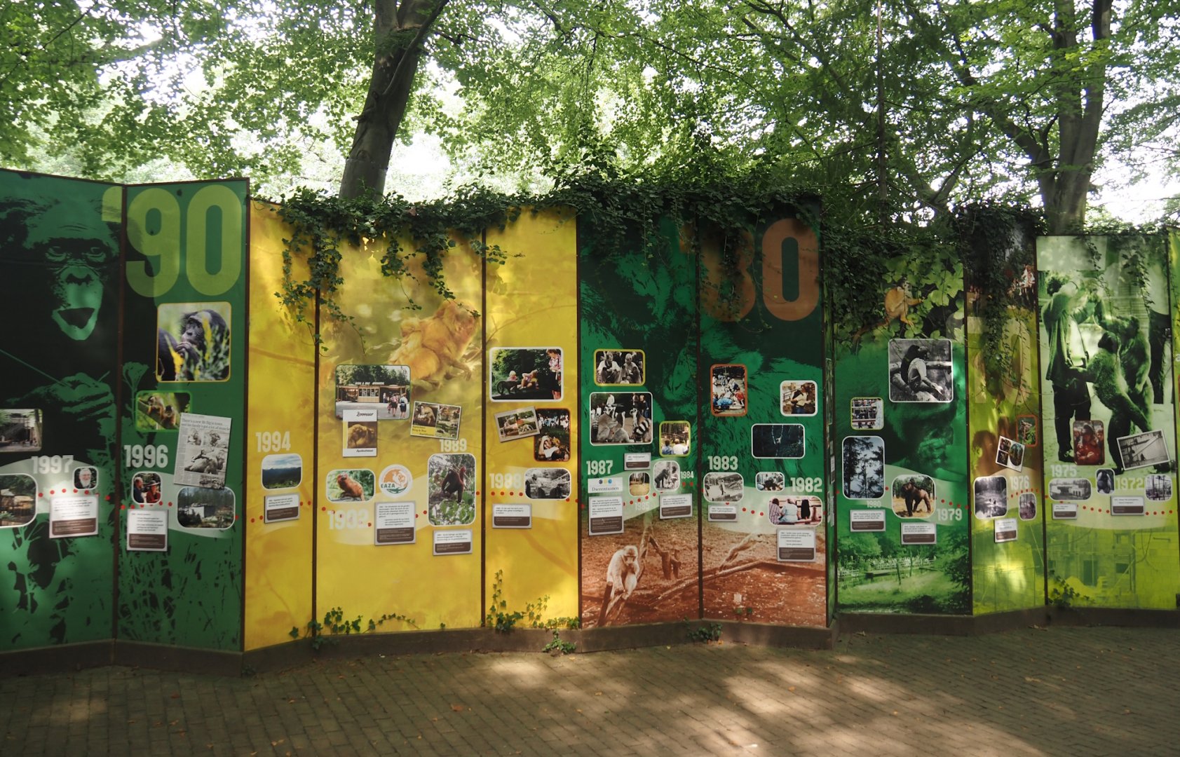 History of Apenheul display, 2024-08-18