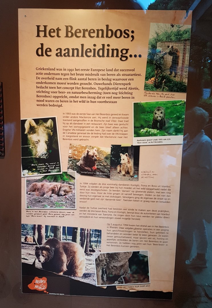 History of Bear-forest