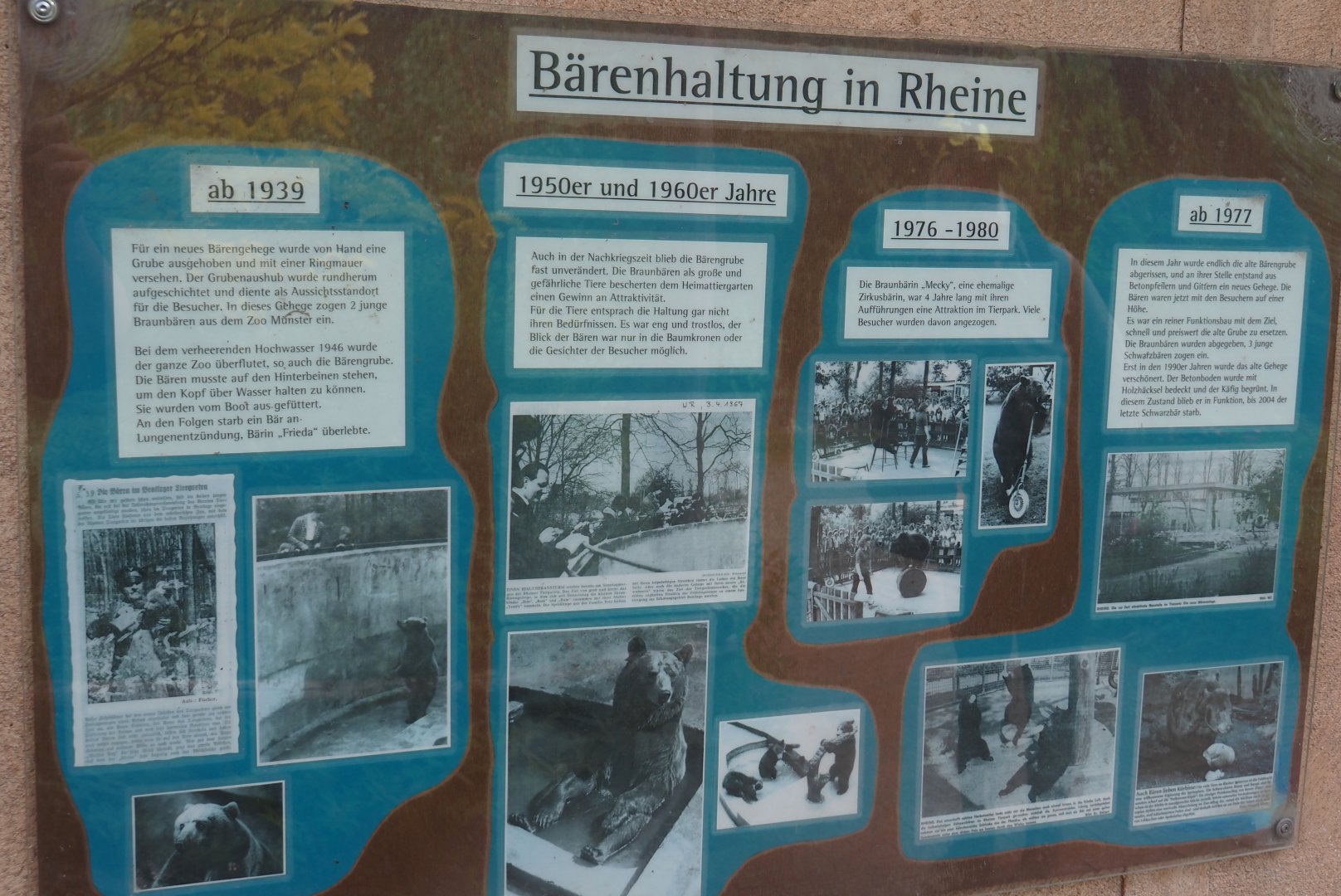 History of bear holding at Rheine signage, 2025-05-22