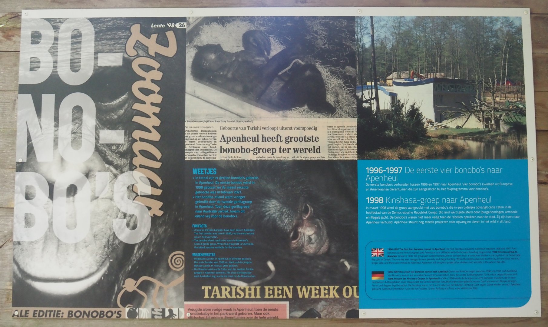 History of bonobos at Apenheul signage, 2024-08-18
