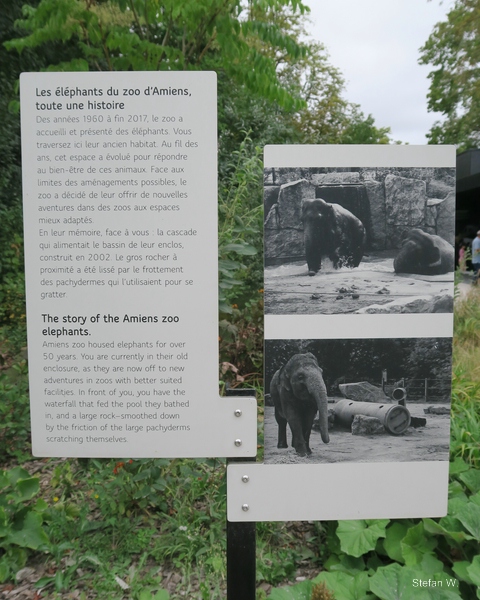 History of elephants at Zoo dÀmiens