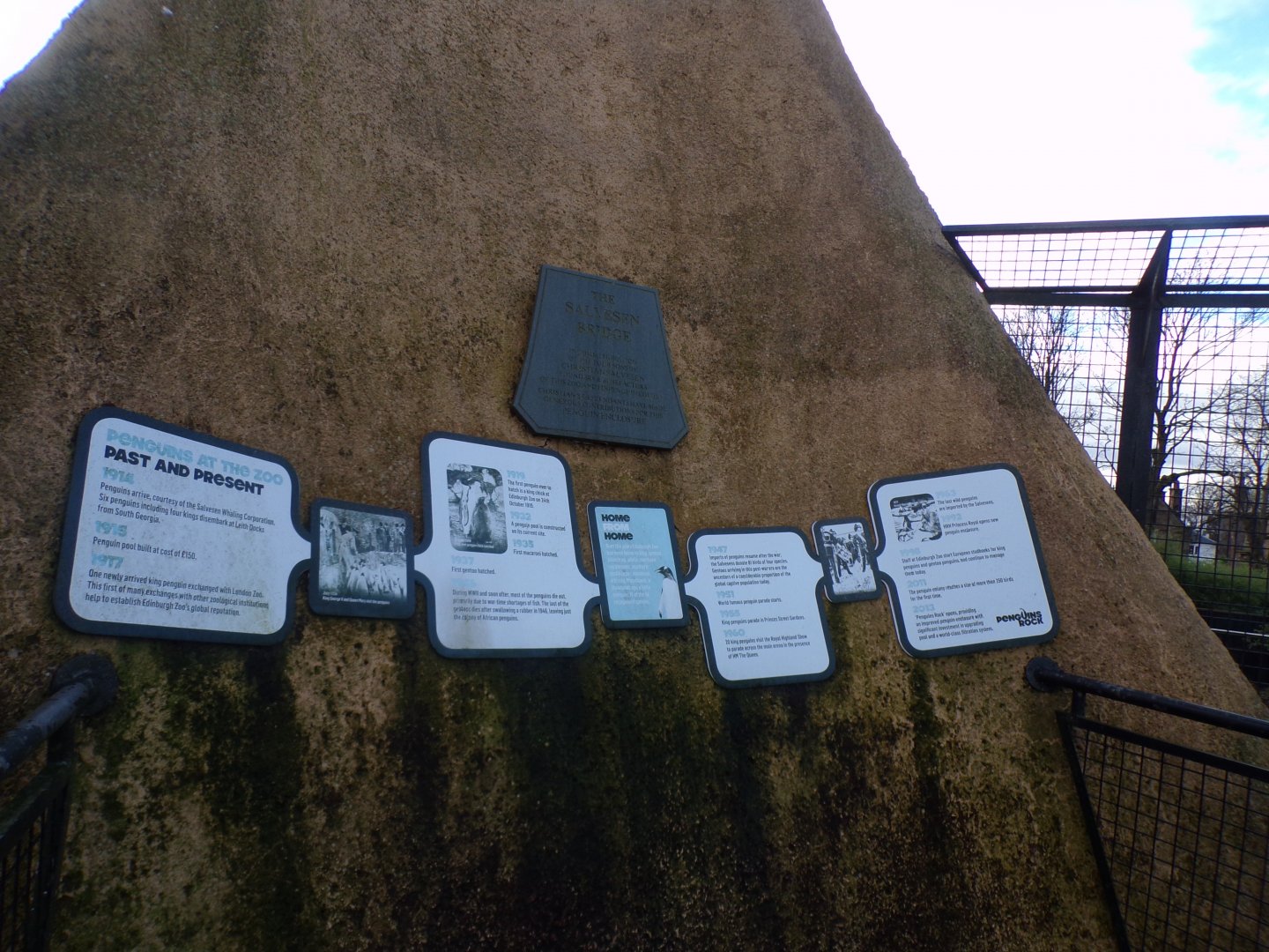 History of penguins at Edinburgh zoo 16.2.24