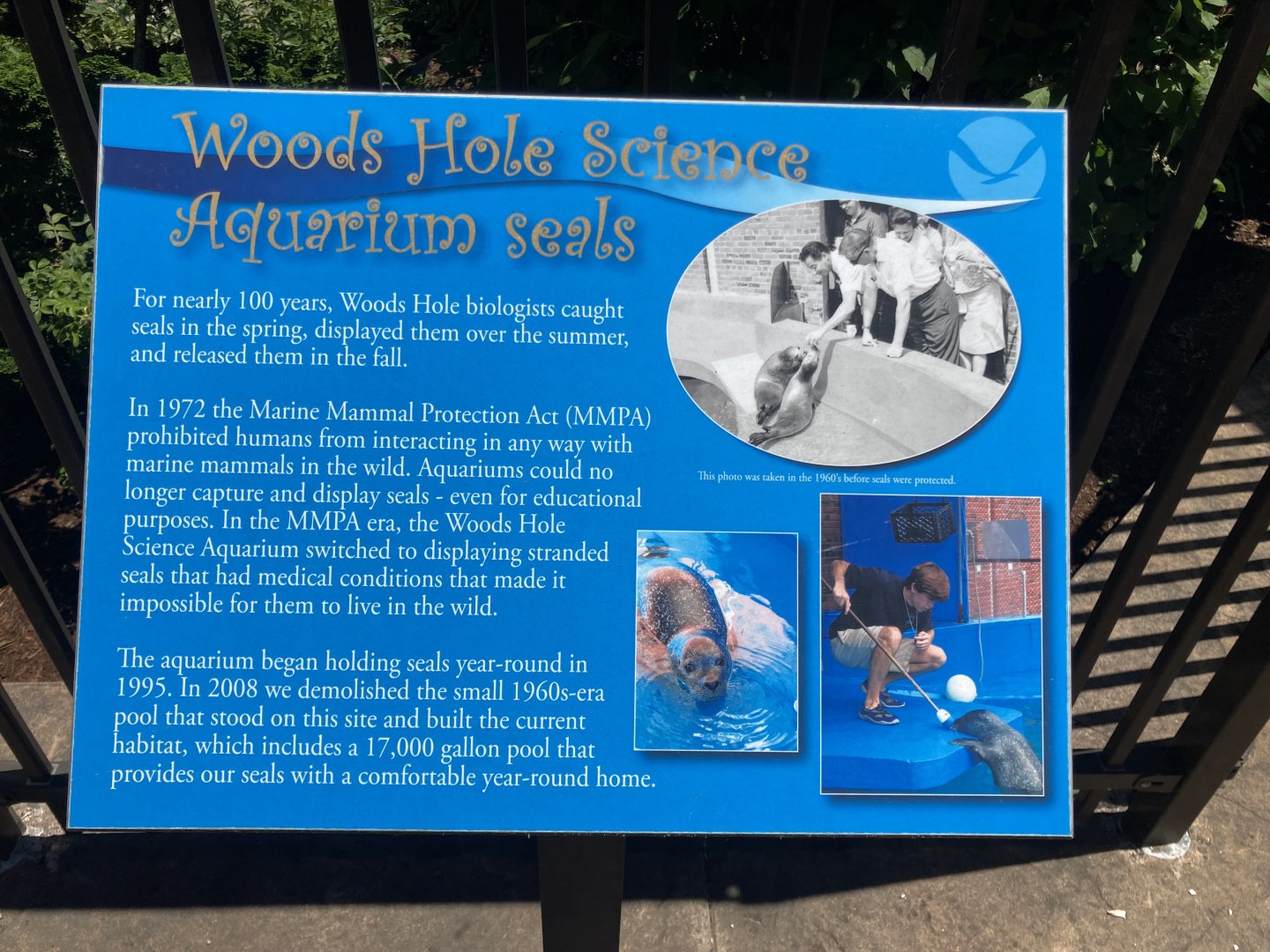 History of Seals at WHSA