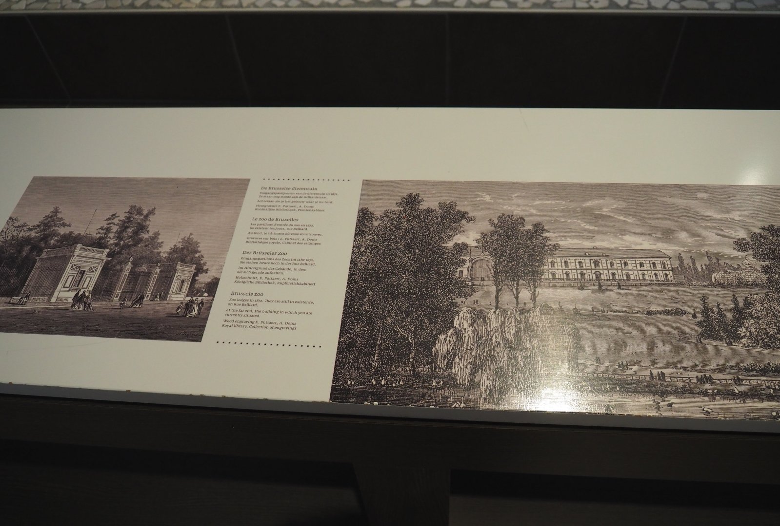 History of the Brussels Zoo (1851-1880) sign 2, 2019-12-03