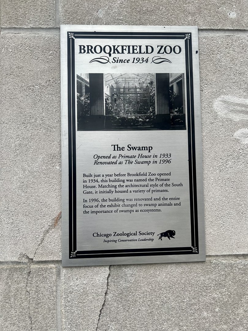 History of The Swamp