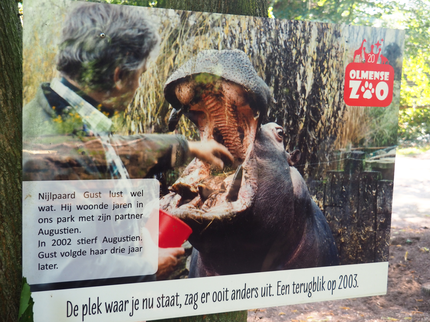 History sign - Former owner with hippopotamus, 2019-08-04