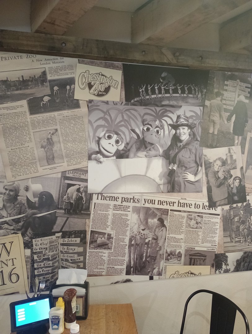 History wall in cafe 2