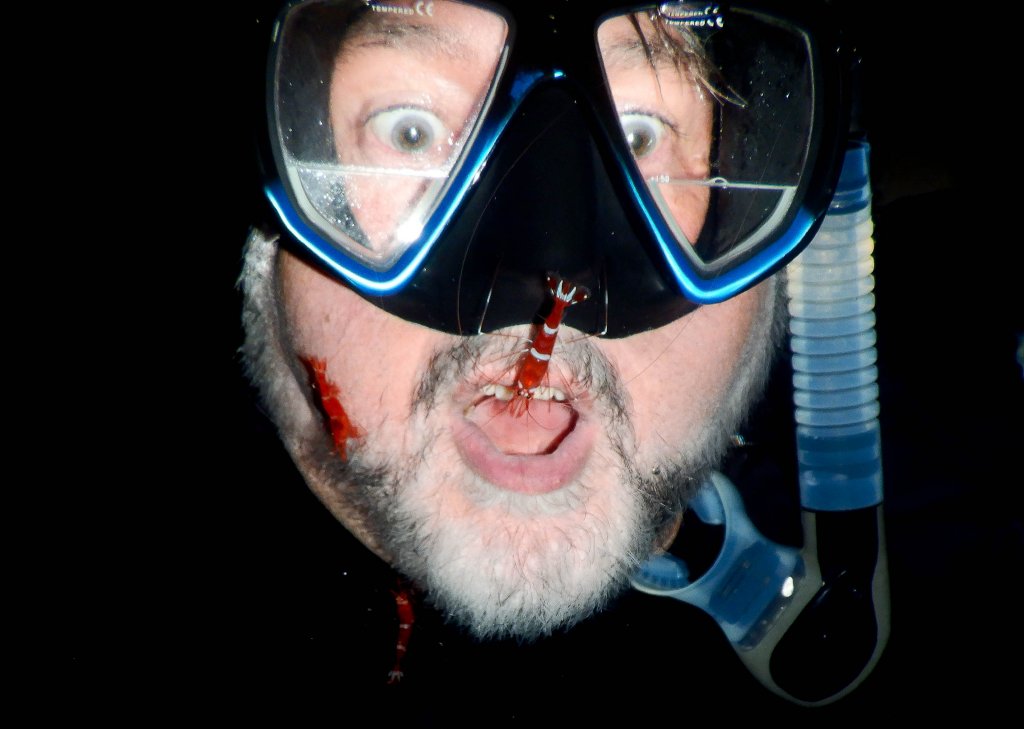 Hix getting exfoliated by a cave-dwelling shrimp species