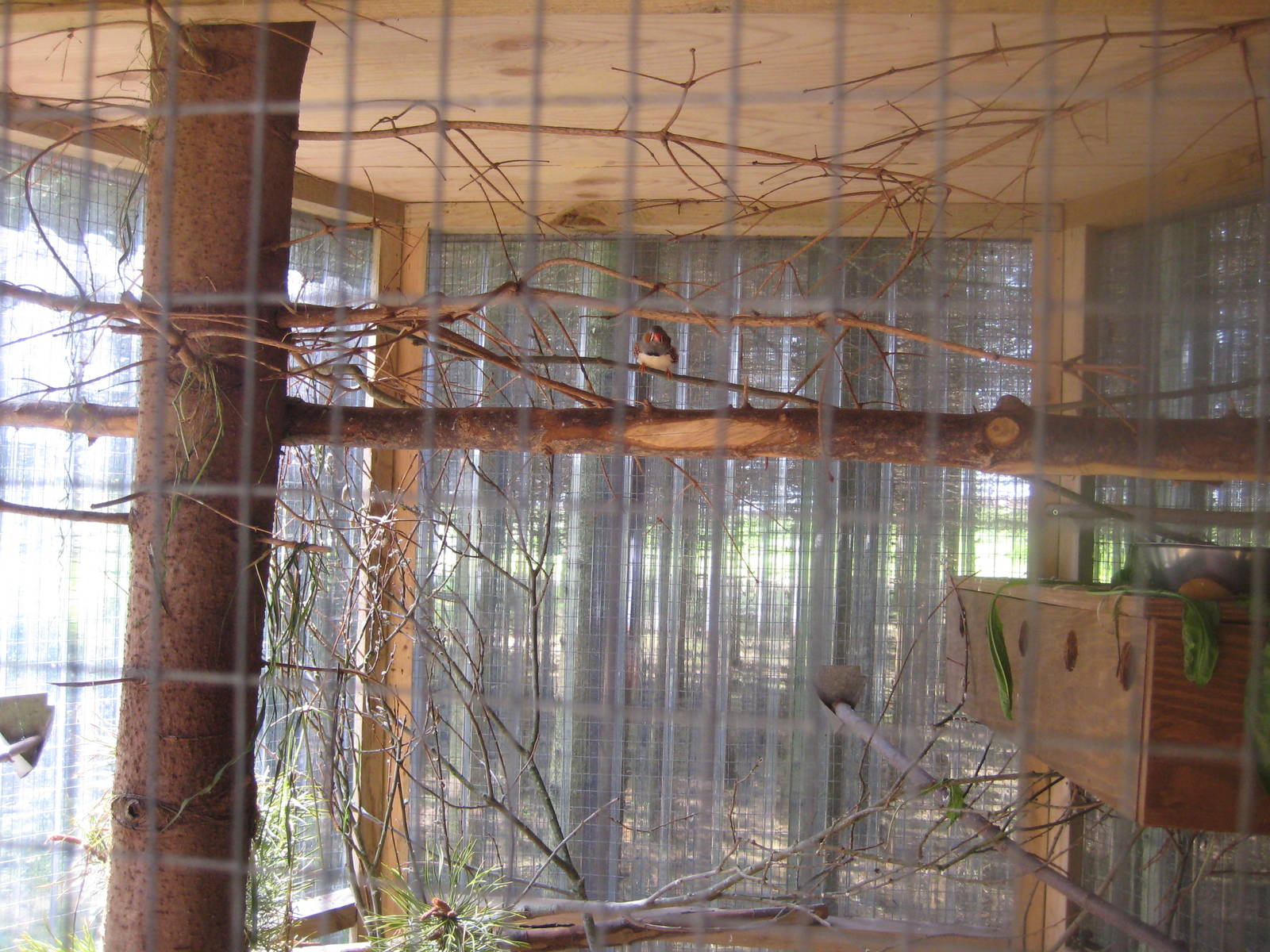 Hjortdal Dyrefarm - Finch aviary