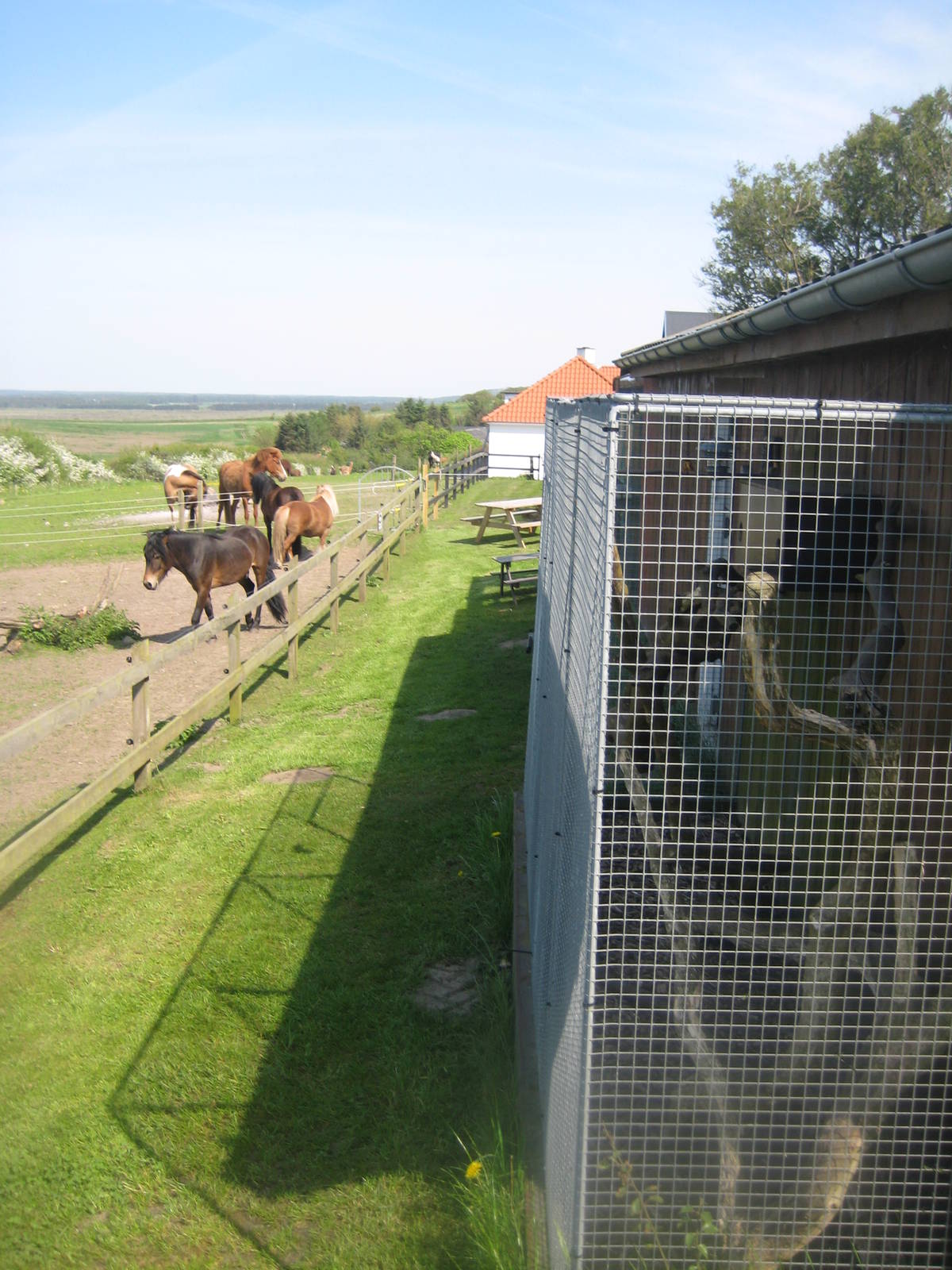 Hjortdal Dyrefarm - General view