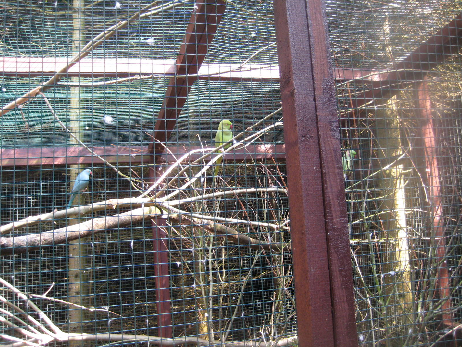 Hjortdal Dyrefarm - Parakeet aviary