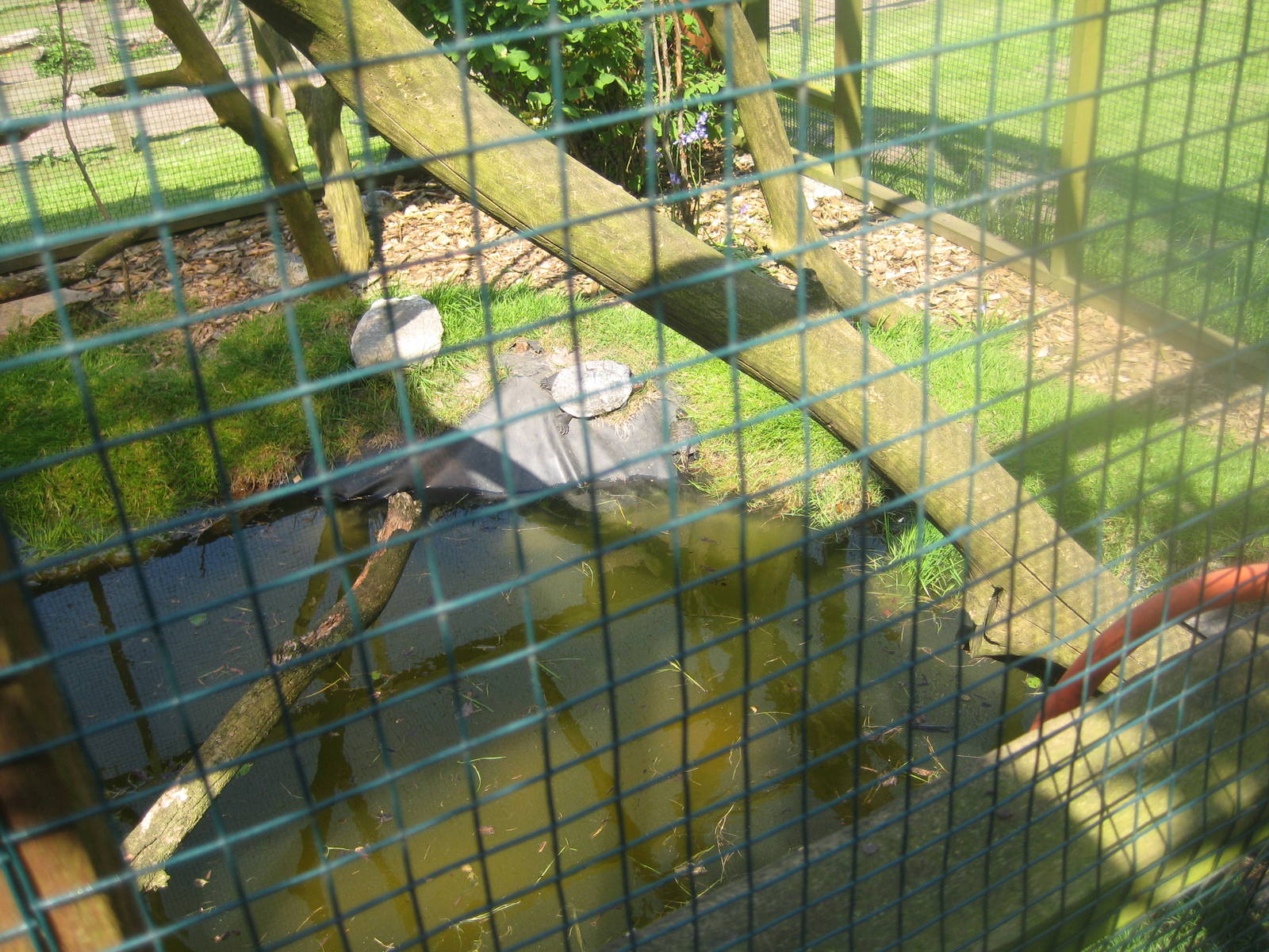 Hjortdal Dyrefarm - Squirrel/turtle exhibit