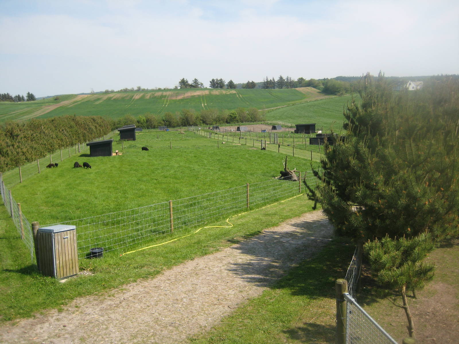 Hjortdal Dyrefarm - View