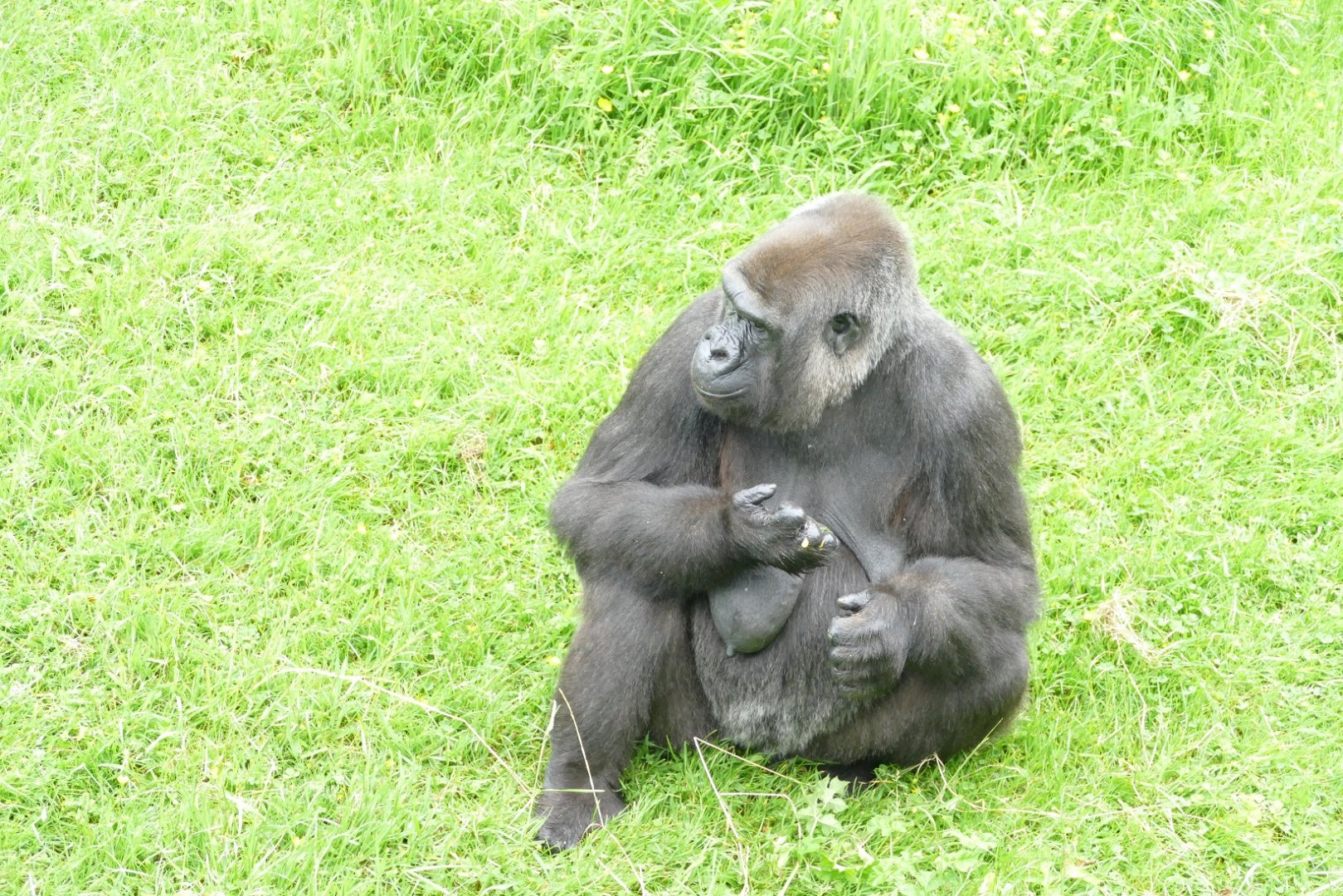 Hlala Kahili, June 2018