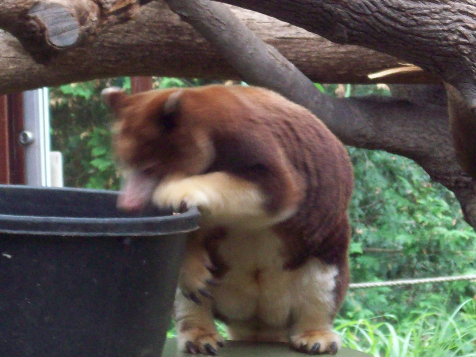 Hmm...what's in here?