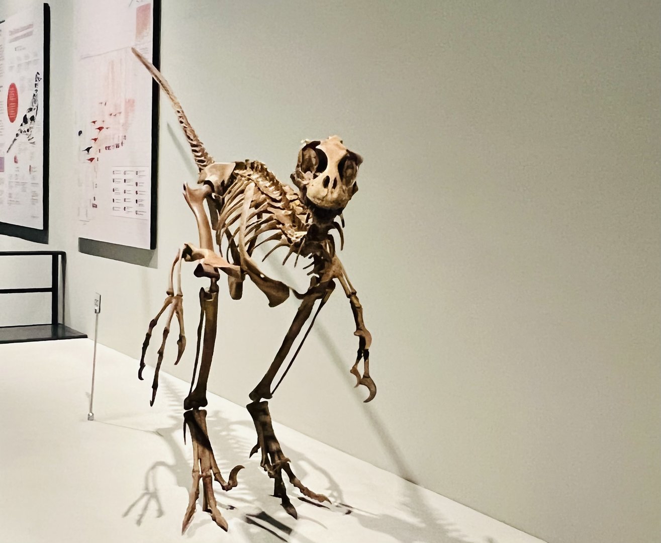 Hmmmmm…kind of…I think the effect is known as the “uncanny valley.”