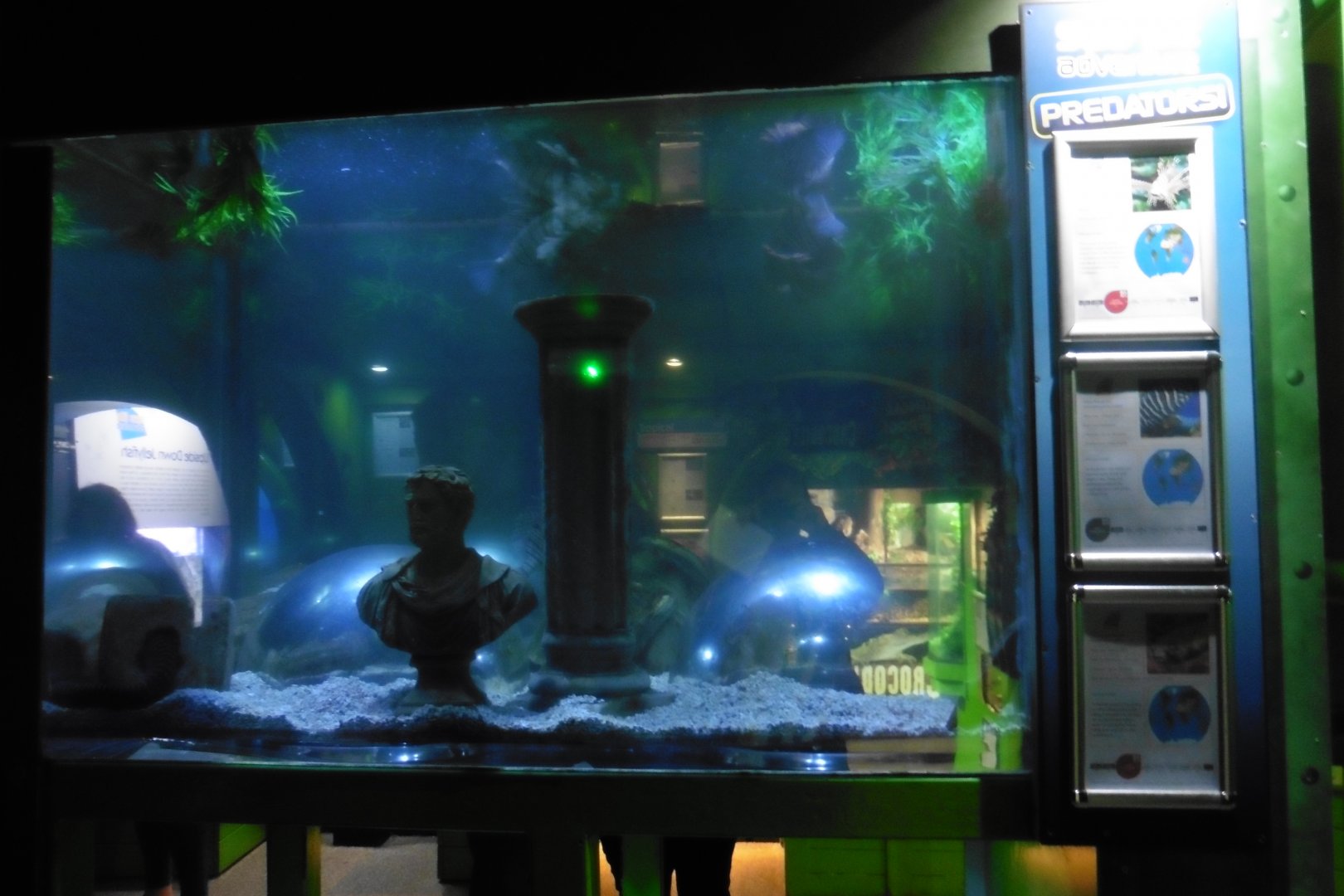 HMS Sub-Tropical tank