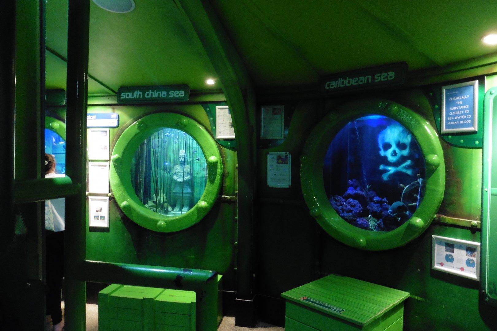 HMS Sub-Tropical tanks