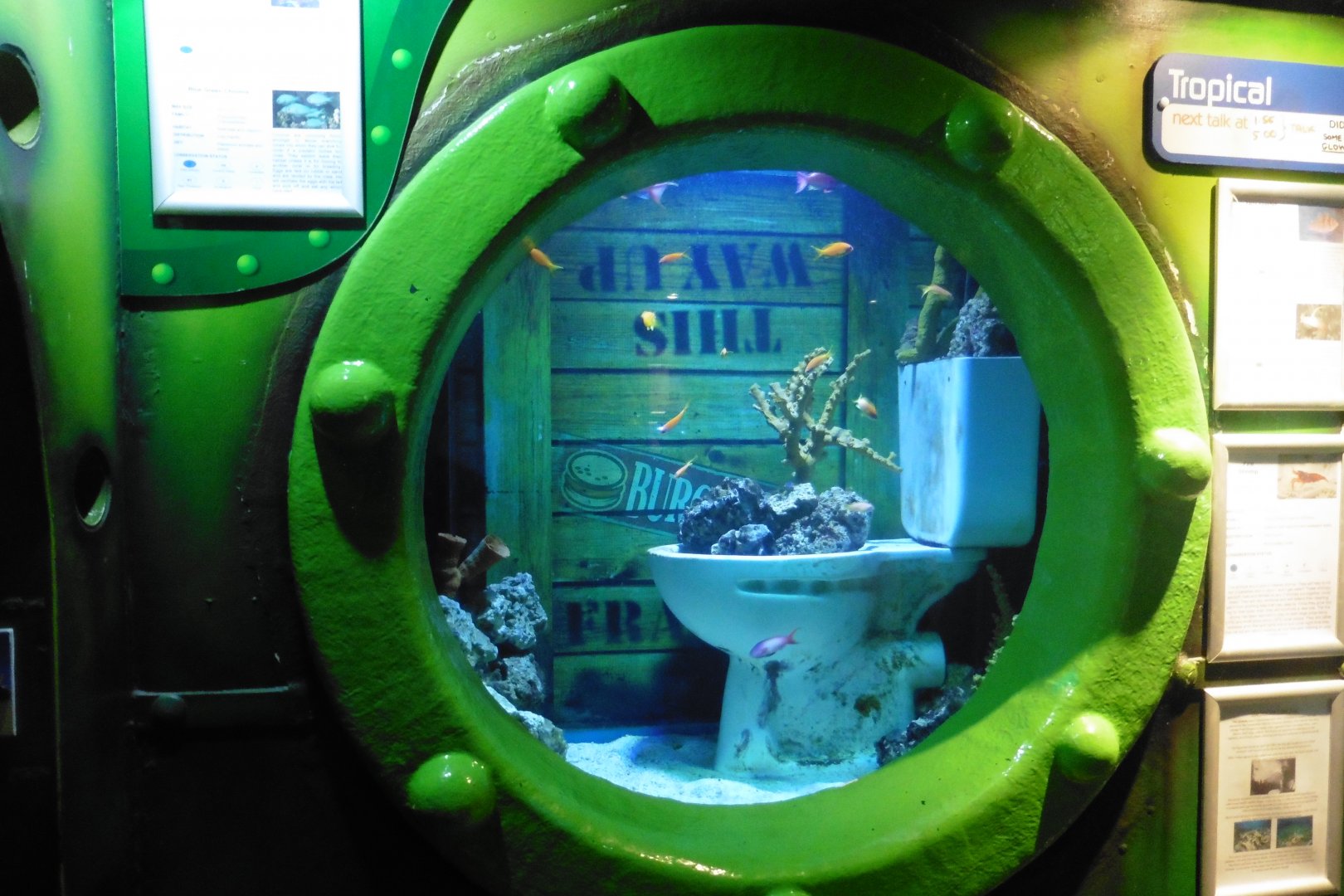 HMS Sub-Tropical tanks