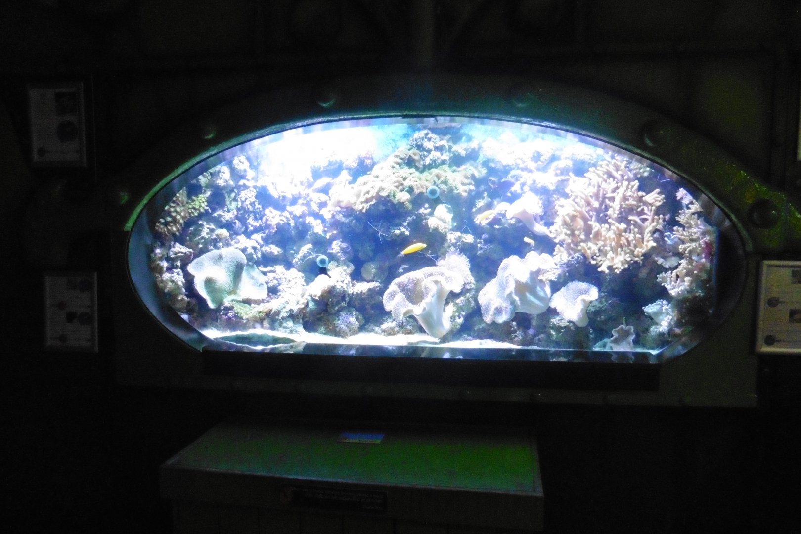 HMS Sub-Tropical tanks