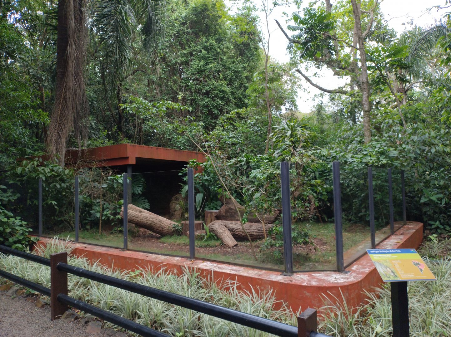 Hoary fox exhibit - RBBV (ZRRL)