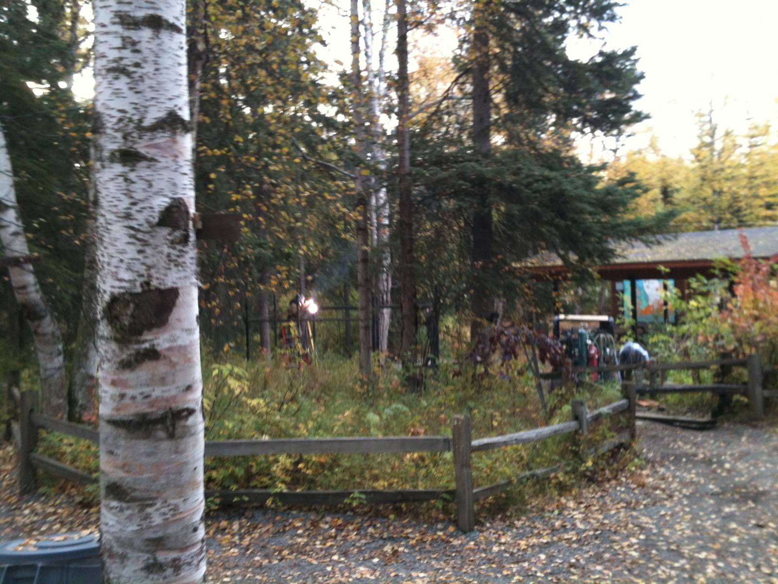 Hoary Marmont Exhibit under construction.