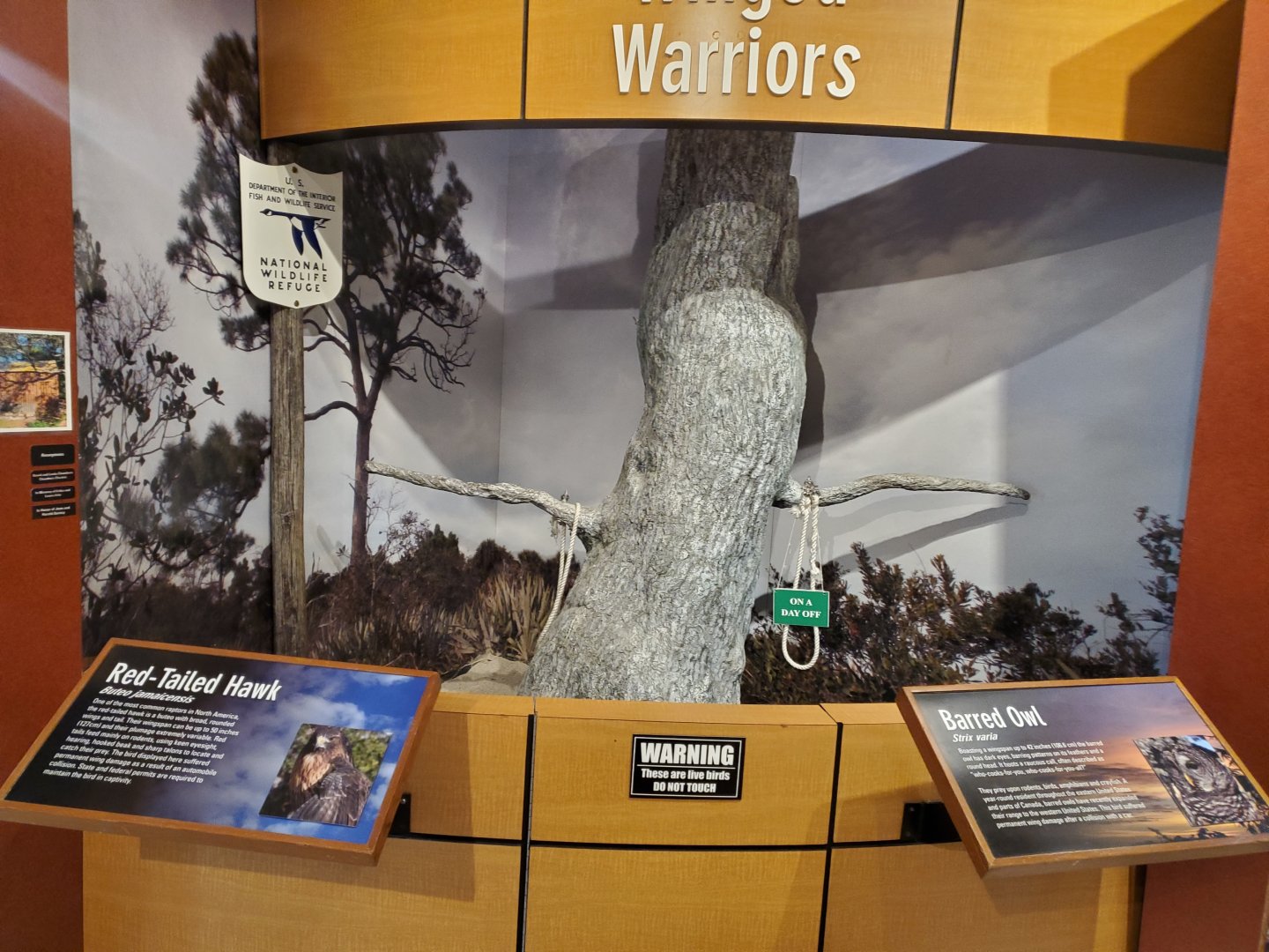 Hobe Sound Nature Center - Ambassador Birds Stage