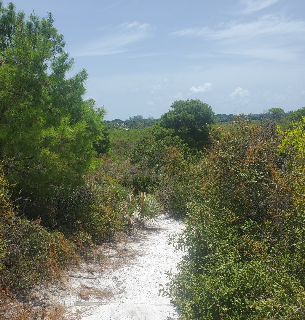 Hobe Sound Nature Center - Trail