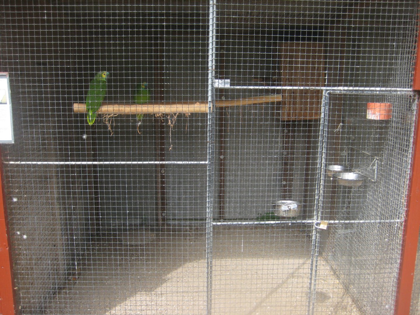 Hobro Minizoo - Blue-fronted amazon aviary