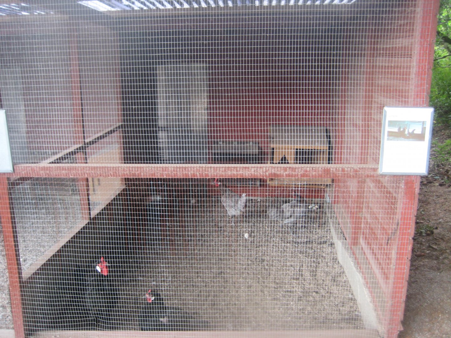 Hobro Minizoo - Chicken aviary #1