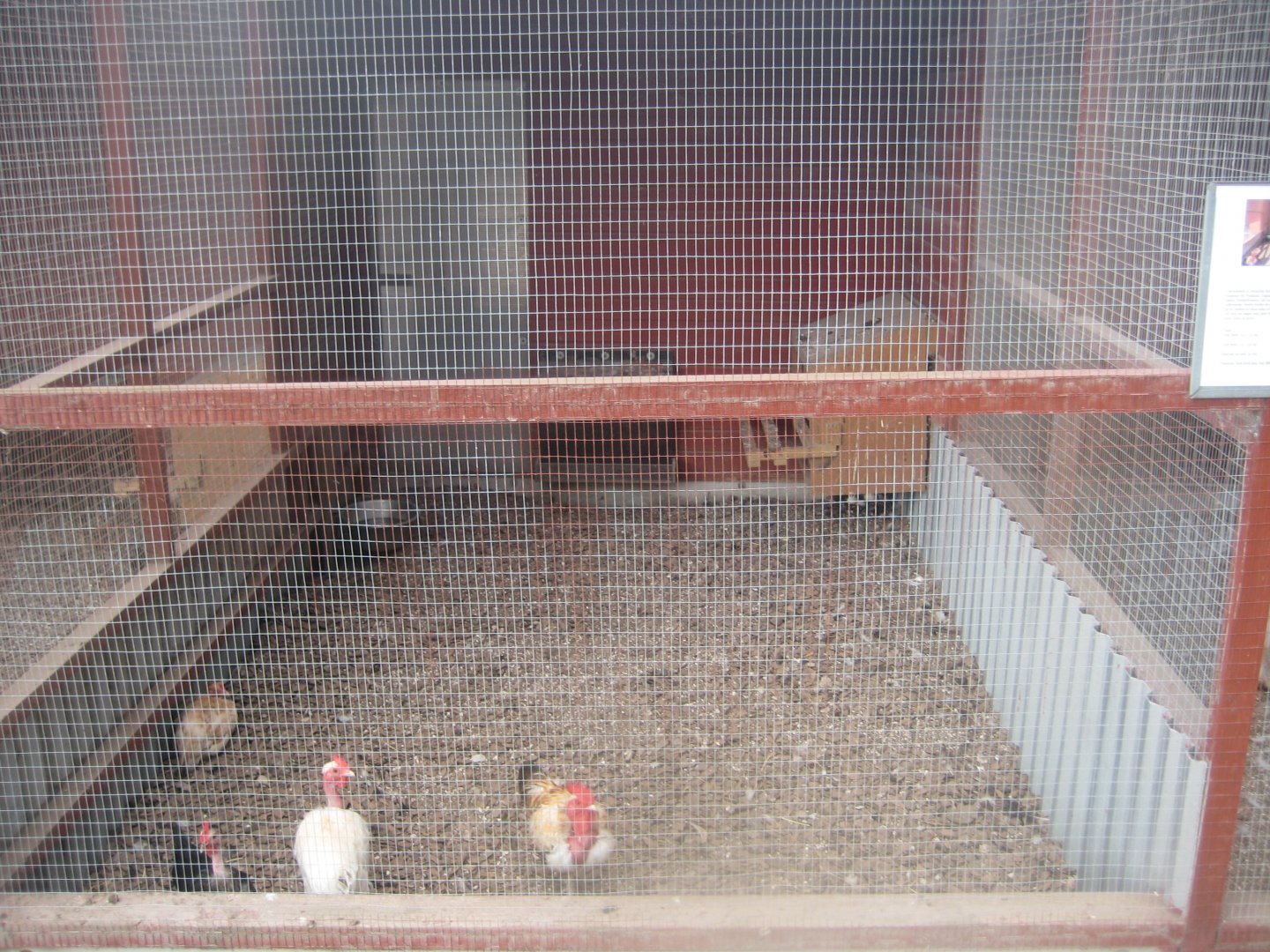 Hobro Minizoo - Chicken aviary #3