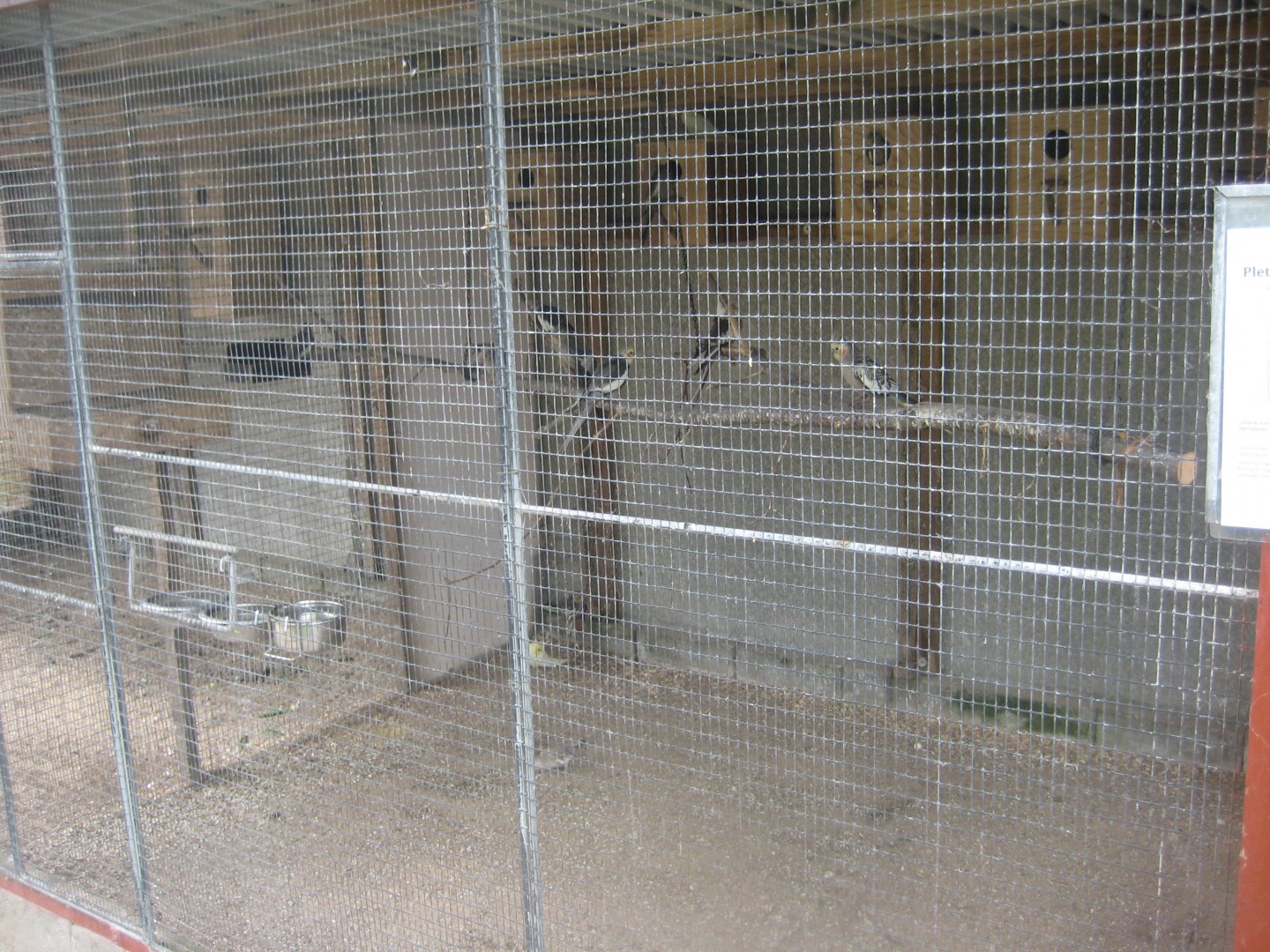 Hobro Minizoo - Cockatiel aviary