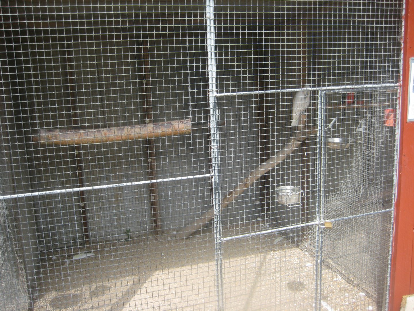 Hobro Minizoo - Cockatoo aviary