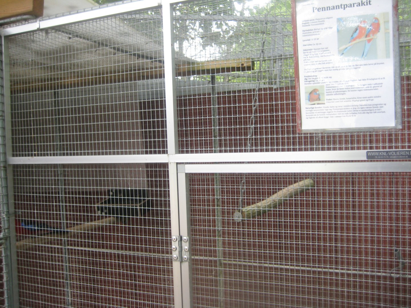 Hobro Minizoo - Crimson rosella aviary