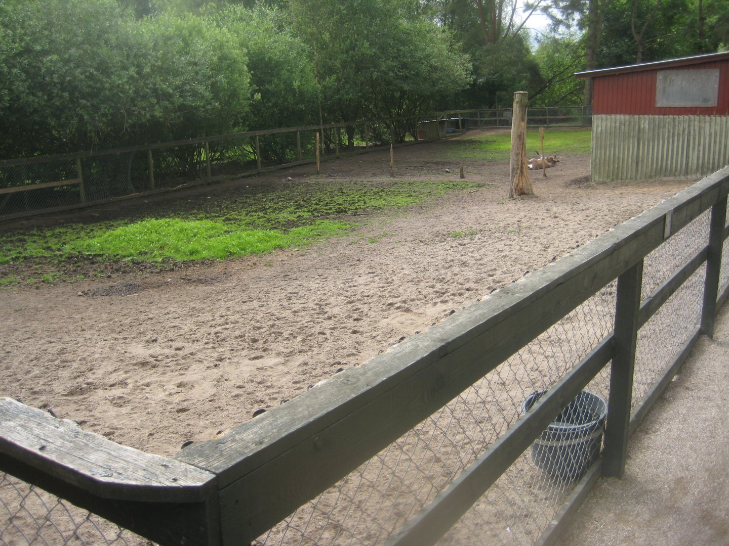 Hobro Minizoo - Donkey/llama exhibit