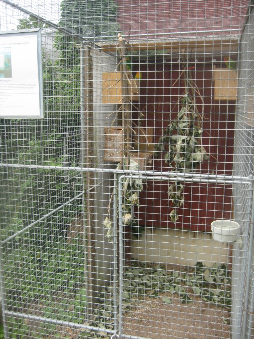 Hobro Minizoo - Fischer's lovebird aviary