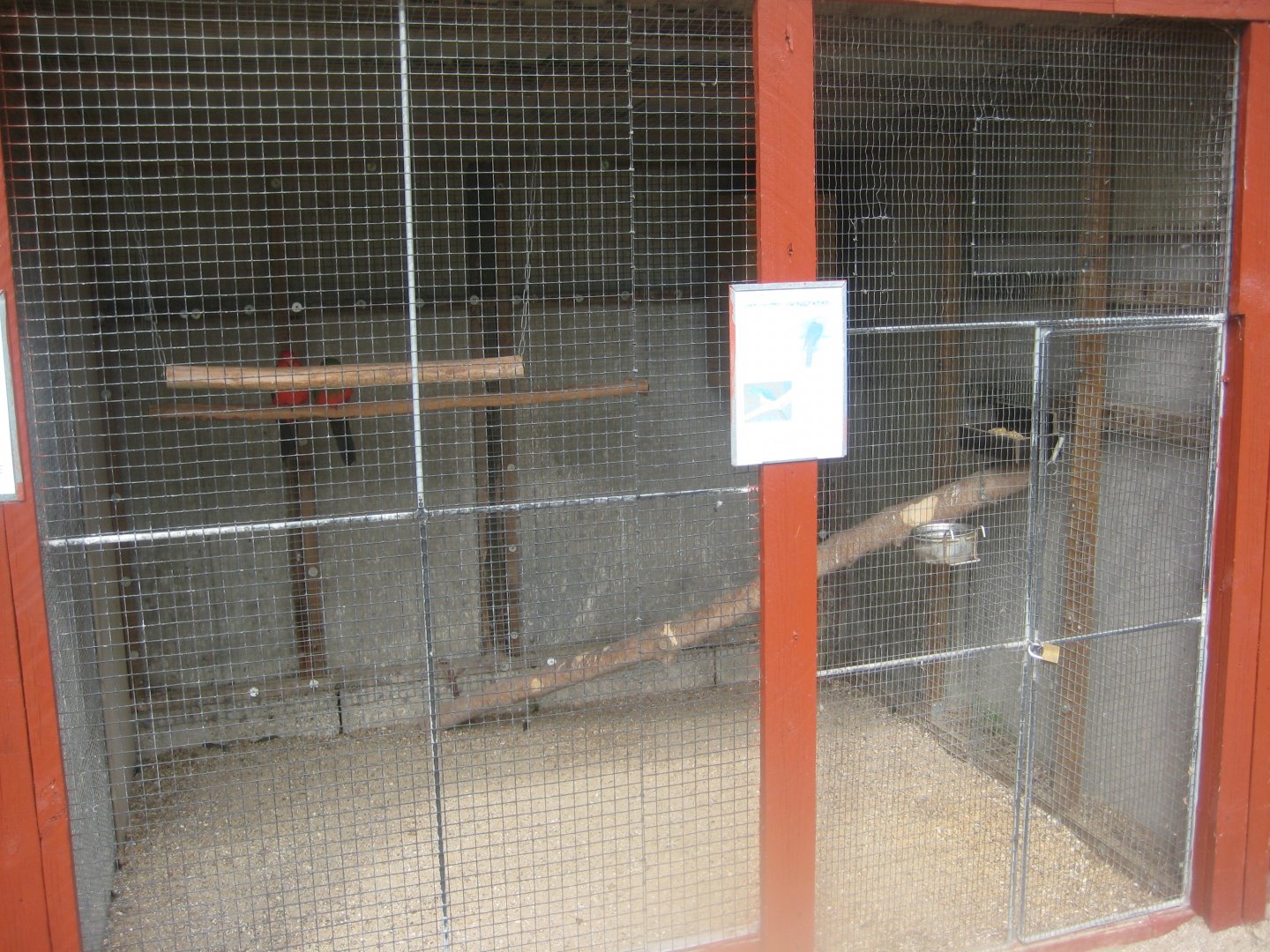 Hobro Minizoo - King parrot aviary