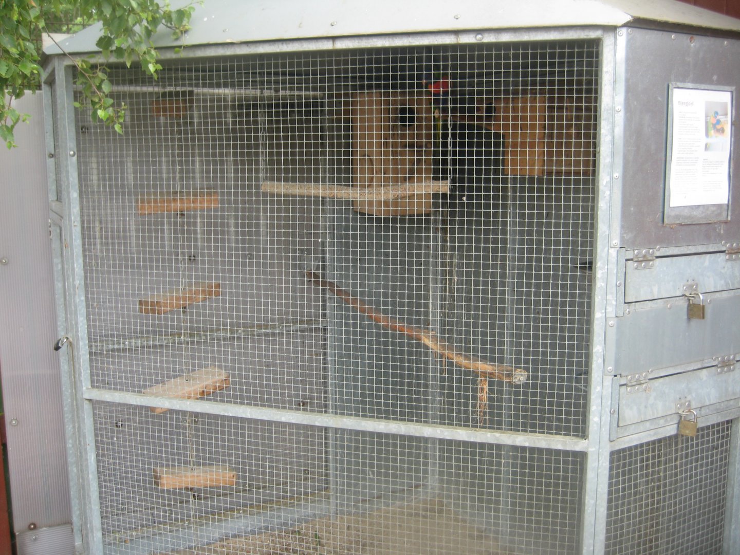 Hobro Minizoo - Lorikeet exhibit