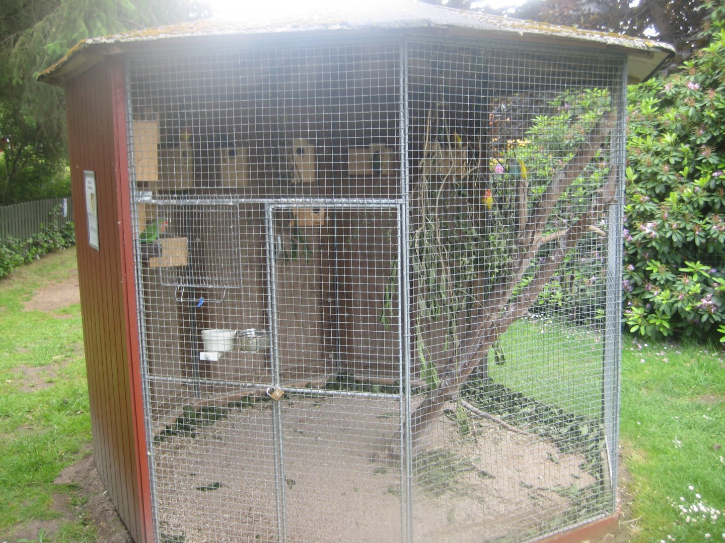 Hobro Minizoo - Lovebird aviary