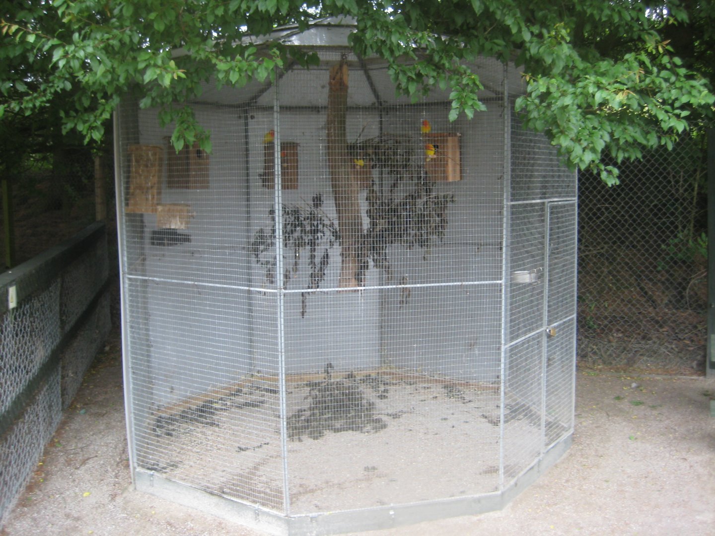 Hobro Minizoo - Lovebird aviary