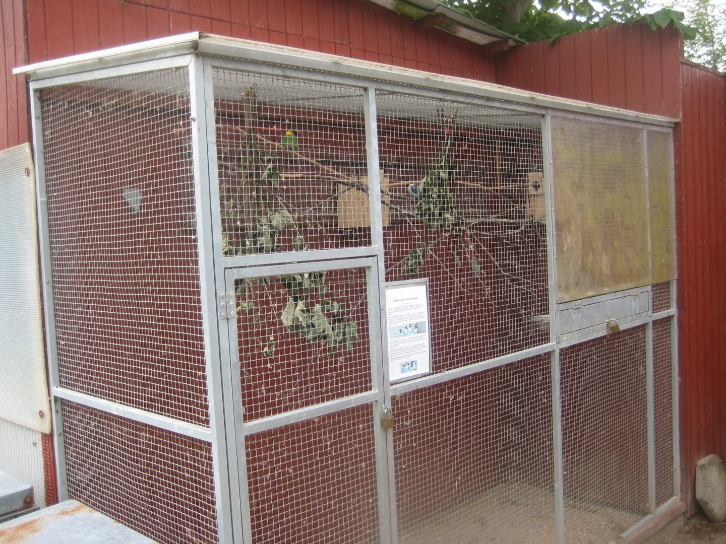 Hobro Minizoo - Lovebird aviary