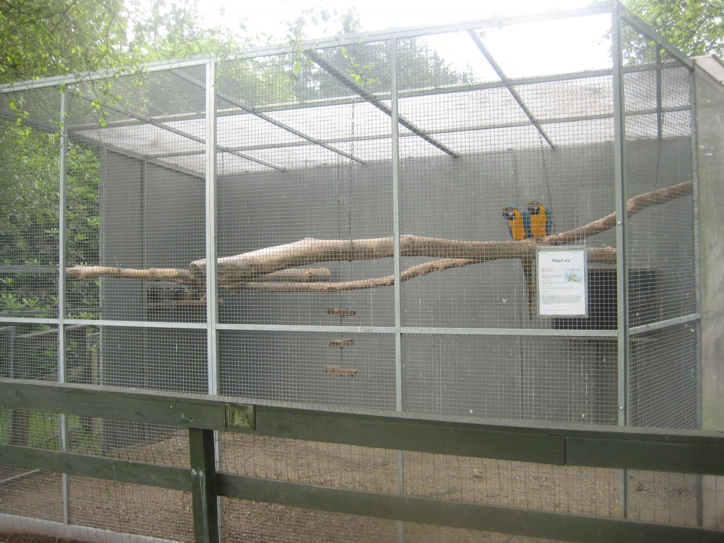 Hobro Minizoo - Macaw aviary