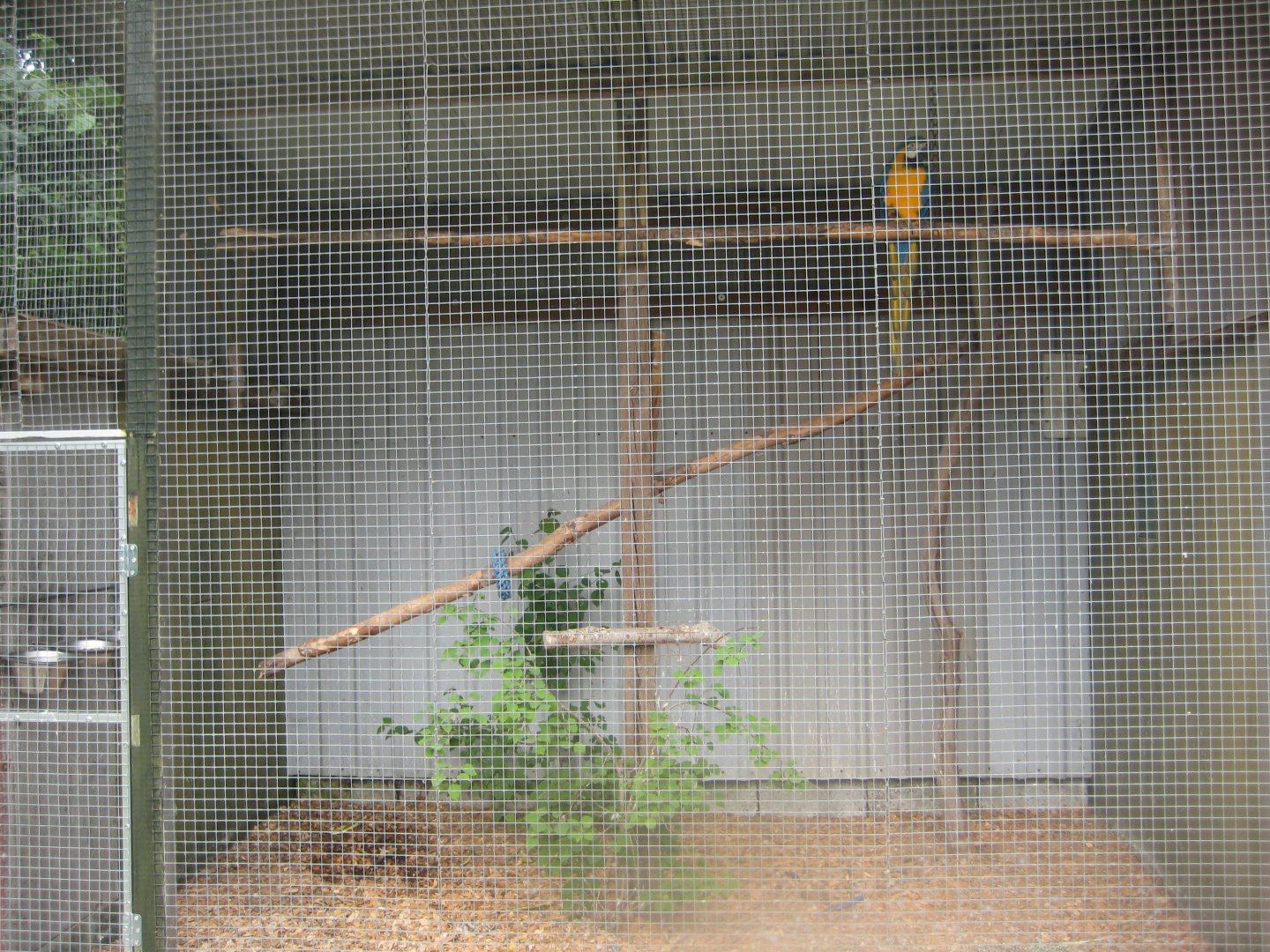 Hobro Minizoo - Macaw aviary