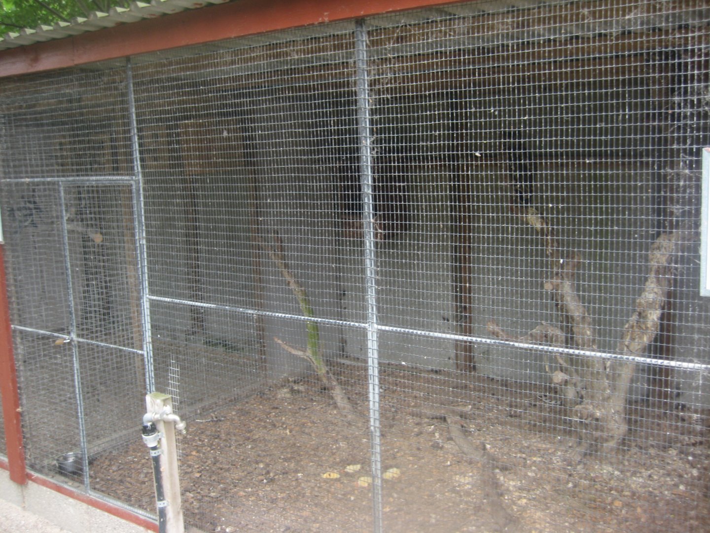 Hobro Minizoo - Owl aviary