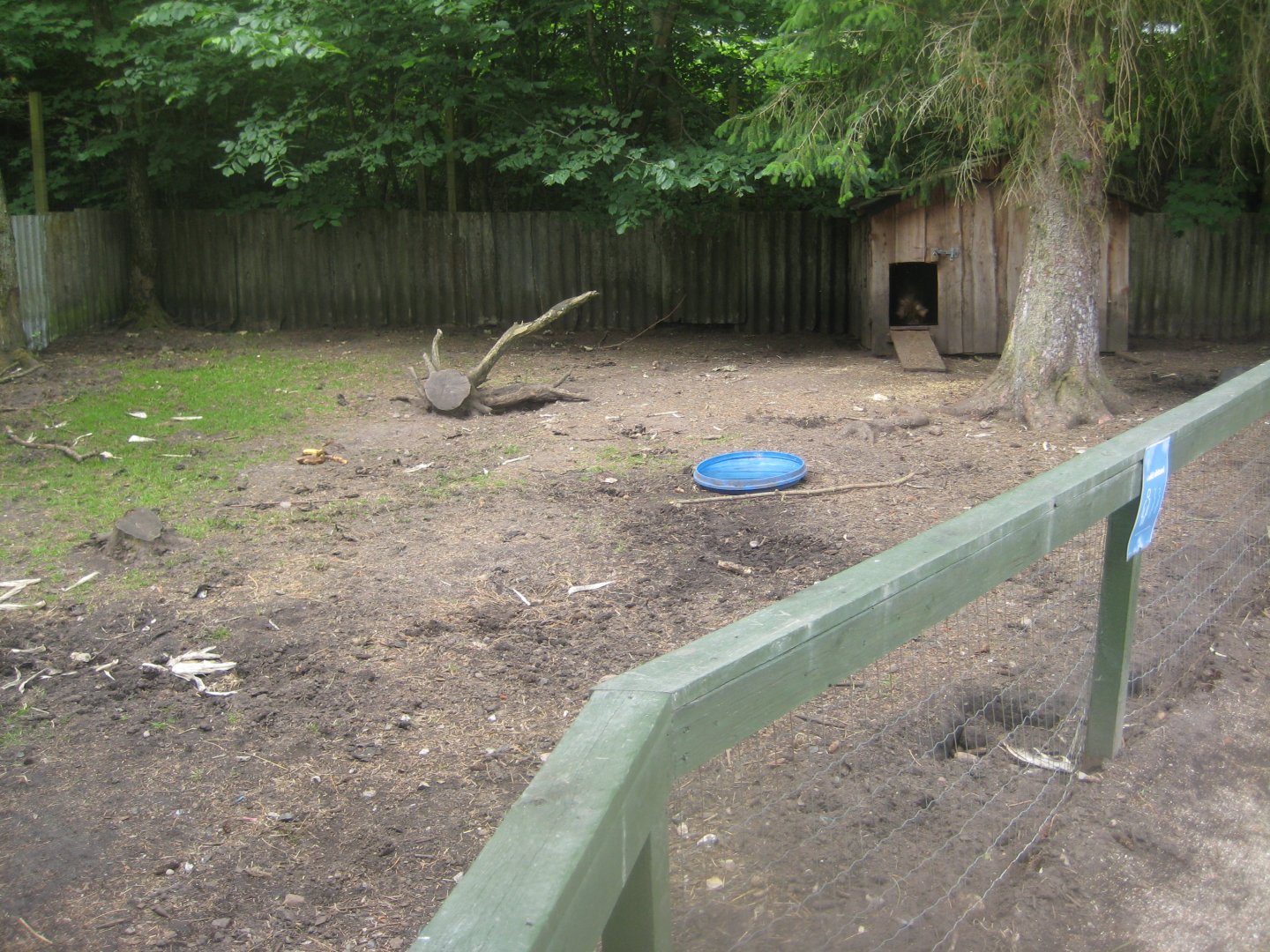 Hobro Minizoo - Pig exhibit