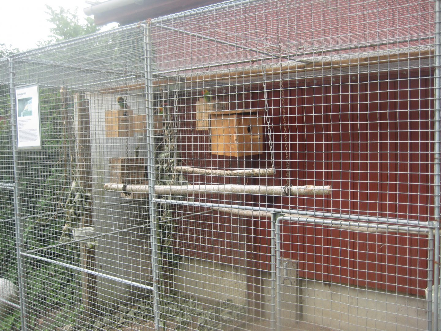 Hobro Minizoo - Red-crowned parakeet aviary