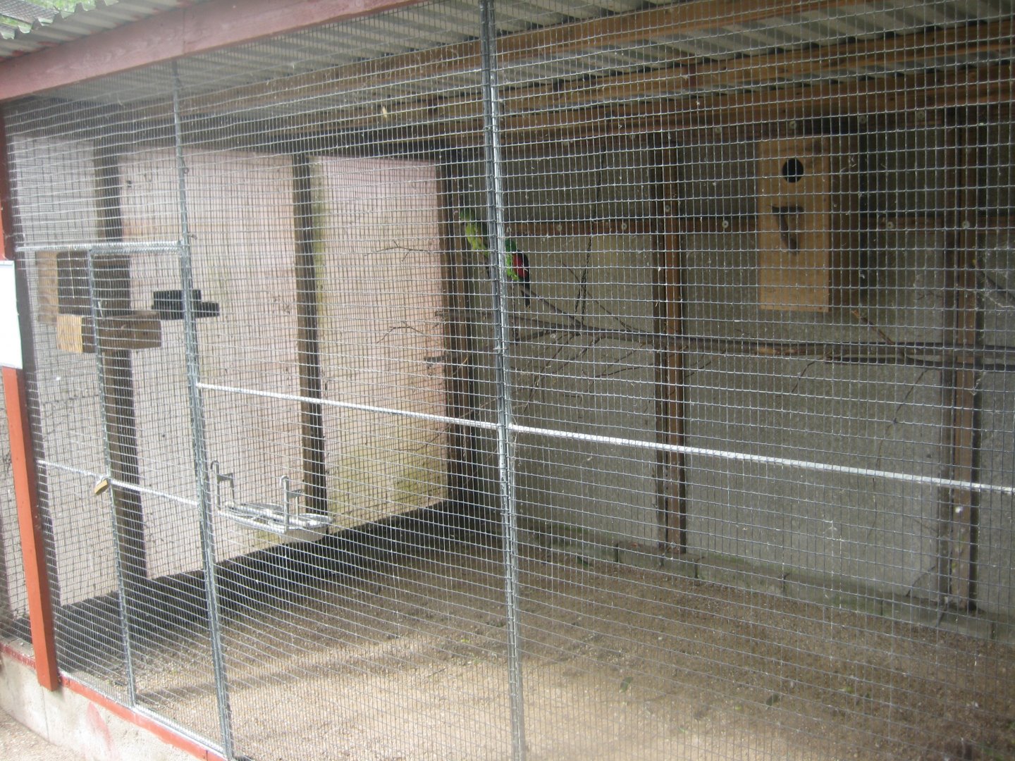 Hobro Minizoo - Red-winged parrot aviary