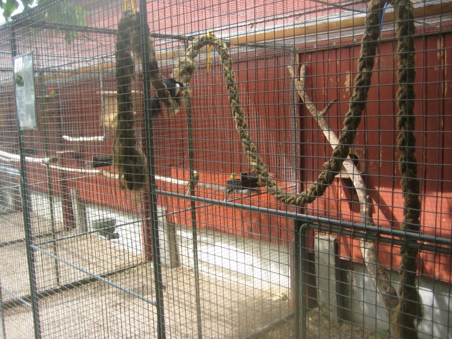 Hobro Minizoo - Squirrel exhibit