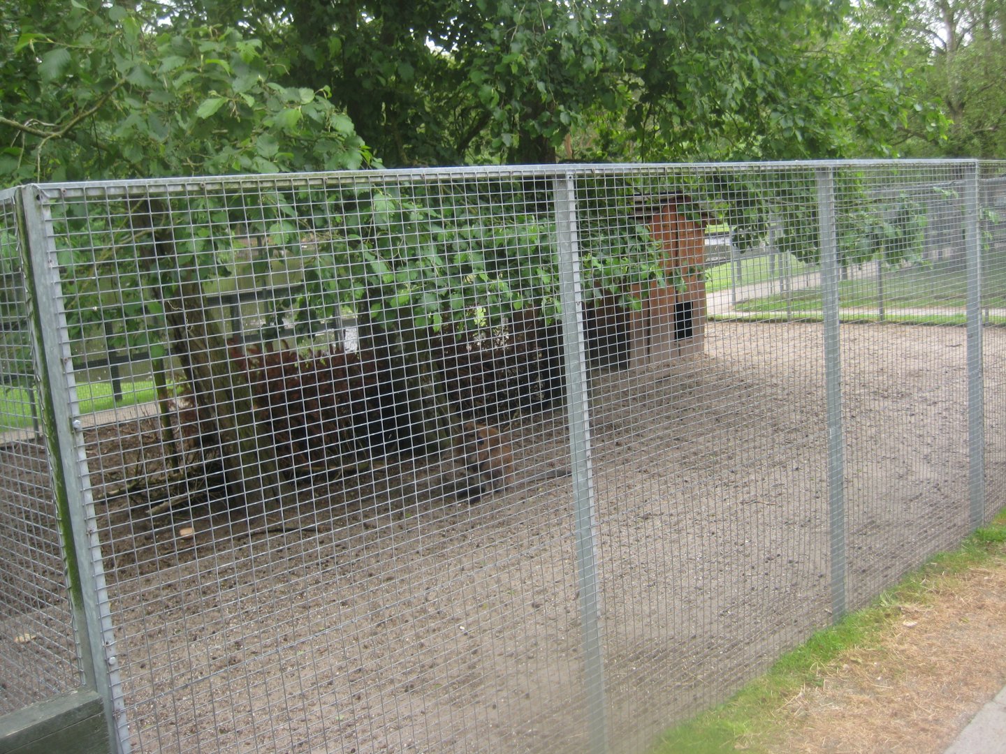 Hobro Minizoo - Wallaby exhibit